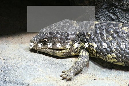 手机贷款逾期多久会起诉 手机贷款逾期多久会起诉