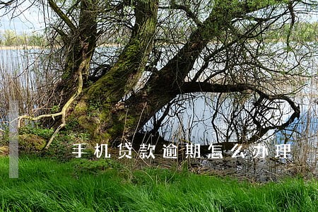 手机贷款逾期怎么办理 手机贷款逾期怎么办理