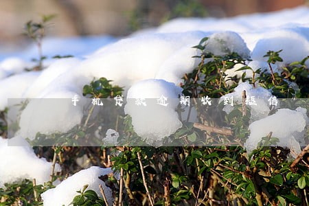 手机贷款逾期收到短信 手机贷款逾期收到短信