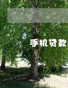 手机贷款逾期能坐高铁吗 手机贷款逾期能坐高铁吗