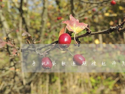 手机贷款逾期被起诉怎么办 手机贷款逾期被起诉怎么办