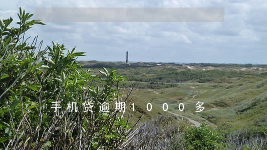 手机贷逾期1000多 手机贷逾期1000多