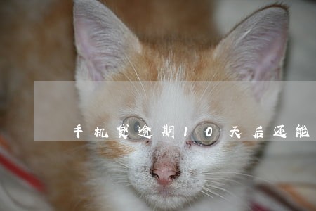 手机贷逾期10天后还能再借吗 手机贷逾期10天后还能再借吗