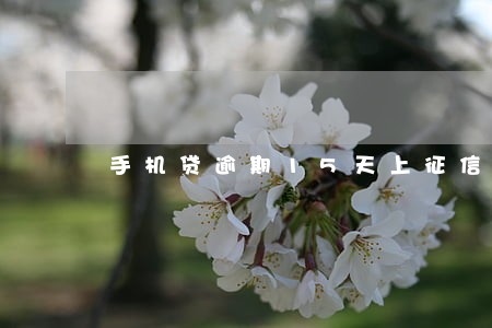 手机贷逾期15天上征信 手机贷逾期15天上征信