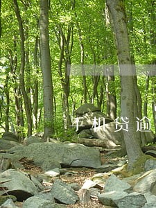 手机贷逾期1天会怎样 手机贷逾期1天会怎样