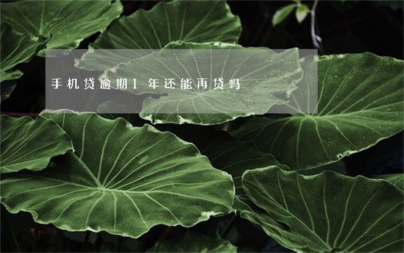 手机贷逾期1年还能再贷吗 手机贷逾期1年还能再贷吗