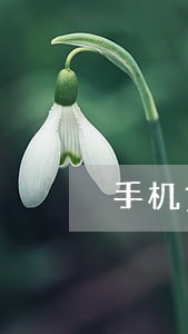 手机贷逾期20天会怎样 手机贷逾期20天会怎样