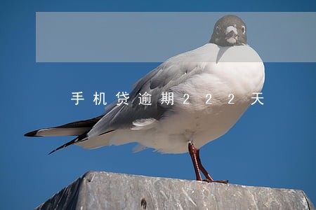 手机贷逾期222天 手机贷逾期222天