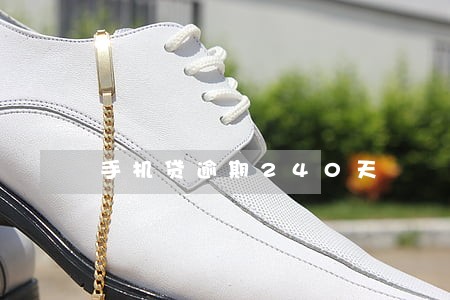 手机贷逾期240天 手机贷逾期240天
