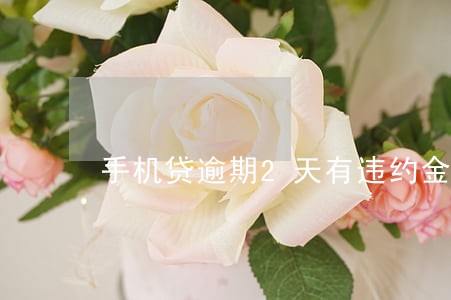手机贷逾期2天有违约金 手机贷逾期2天有违约金