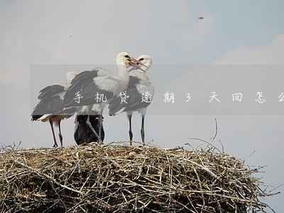 手机贷逾期3天回怎么办 手机贷逾期3天回怎么办