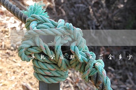 手机贷逾期3天罚金多少