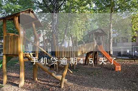 手机贷逾期45天了