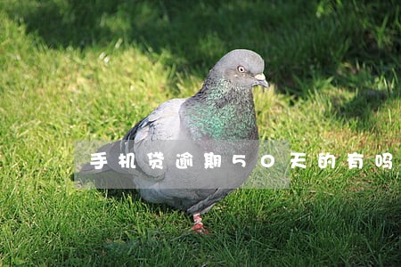 手机贷逾期50天的有吗 手机贷逾期50天的有吗