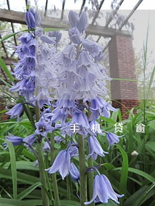 手机贷逾期5年了会怎么样 手机贷逾期5年了会怎么样