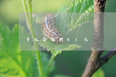 手机贷逾期61天 手机贷逾期61天