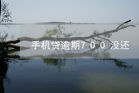 手机贷逾期700没还 手机贷逾期700没还