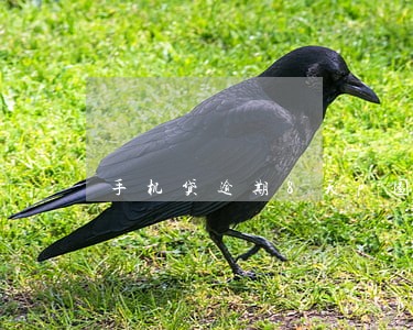 手机贷逾期8天p图发联系人 手机贷逾期8天p图发联系人