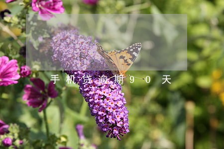 手机贷逾期90天 手机贷逾期90天