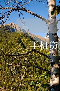 手机贷逾期9天 手机贷逾期9天