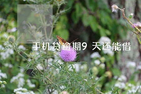 手机贷逾期9天还能借 手机贷逾期9天还能借