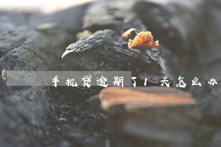 手机贷逾期了1天怎么办 手机贷逾期了1天怎么办