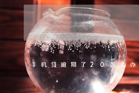 手机贷逾期了20怎么办 手机贷逾期了20怎么办