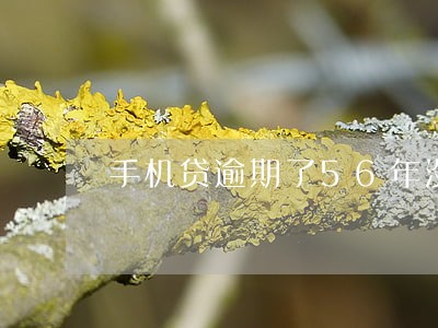 手机贷逾期了56年没还 手机贷逾期了56年没还
