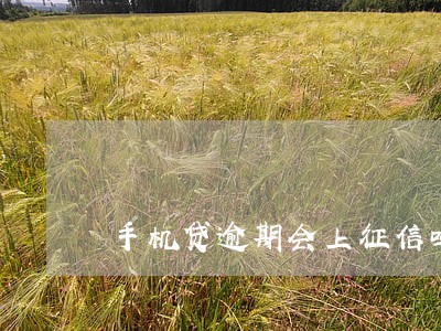 手机贷逾期会上征信吗6 手机贷逾期会上征信吗6
