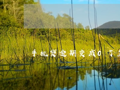 手机贷逾期变成0了怎么办 手机贷逾期变成0了怎么办
