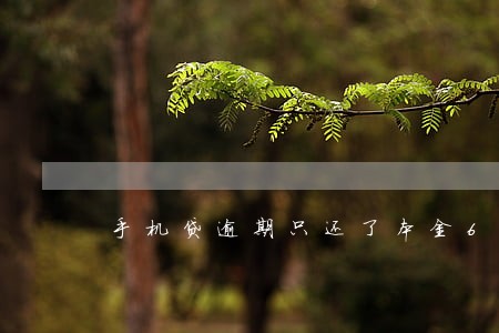 手机贷逾期只还了本金6 手机贷逾期只还了本金6