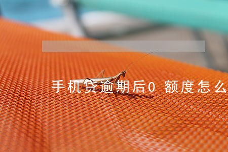手机贷逾期后0额度怎么破 手机贷逾期后0额度怎么破