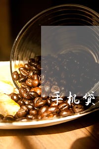 手机贷逾期能不能只还本金 手机贷逾期能不能只还本金