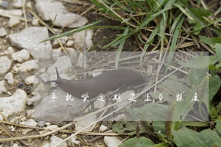 手机贷逾期还上0额度 手机贷逾期还上0额度