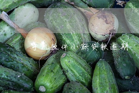 手机软件小额贷款逾期 手机软件小额贷款逾期