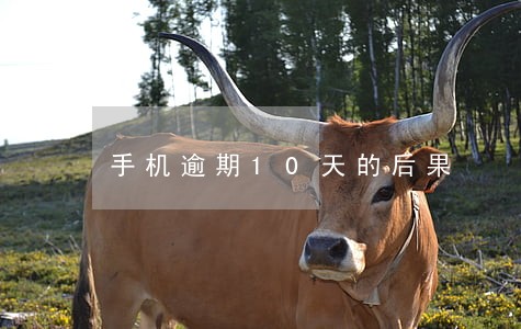 手机逾期10天的后果 手机逾期10天的后果
