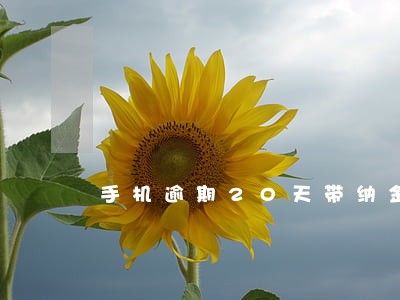 手机逾期20天带纳金