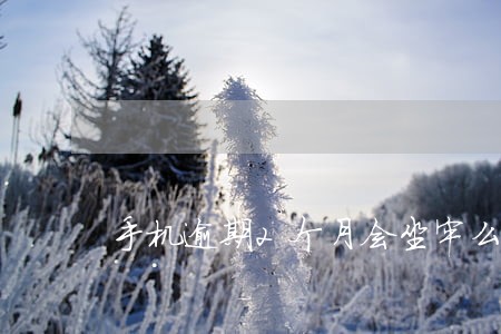 手机逾期2个月会坐牢么吗 手机逾期2个月会坐牢么吗