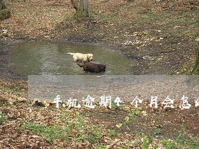 手机逾期4个月会怎么样 手机逾期4个月会怎么样