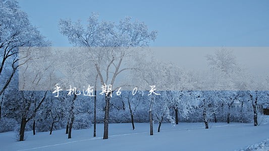手机逾期60天 手机逾期60天
