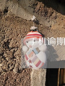 手机逾期6个月怎么还 手机逾期6个月怎么还