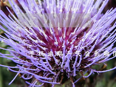 手机逾期一天会影响信用吗 手机逾期一天会影响信用吗