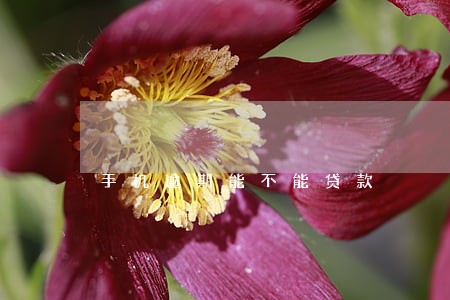 手机逾期能不能贷款 手机逾期能不能贷款