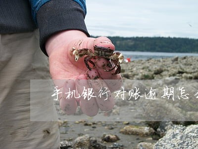 手机银行对账逾期怎么办 手机银行对账逾期怎么办