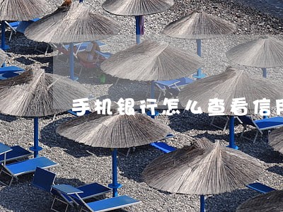 手机银行怎么查看信用卡逾期 手机银行怎么查看信用卡逾期