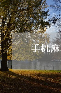 手机麻将不招代理违法吗