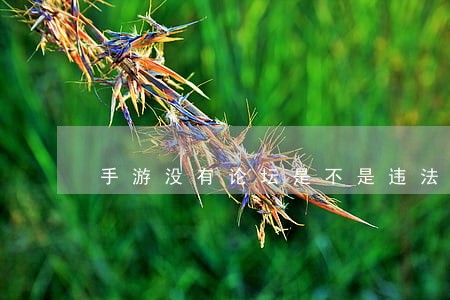 手游没有论坛是不是违法的