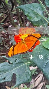 手续到了法院多久开庭 手续到了法院多久开庭