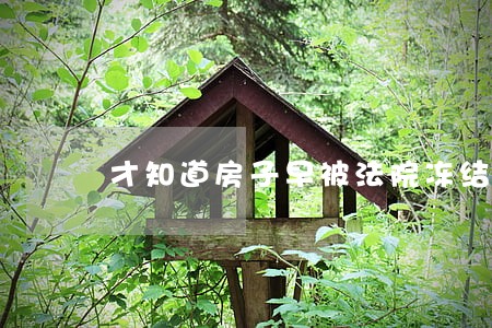 才知道房子早被法院冻结 才知道房子早被法院冻结