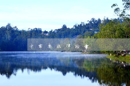 才需要法律检索